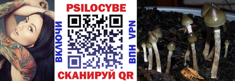 Купить  Каменка  Галлюциногенные грибы MAGIC MUSHROOMS 