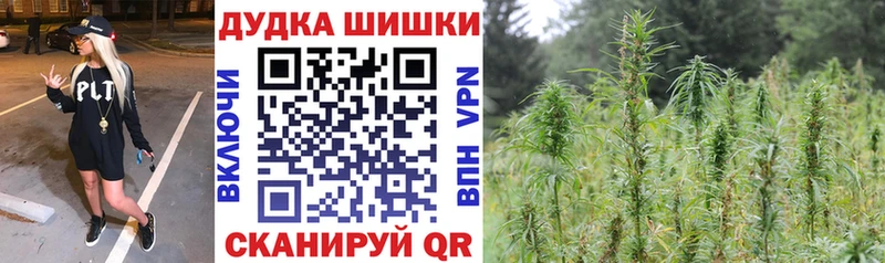 Купить закладки  Каменка  МАРИХУАНА Amnesia 